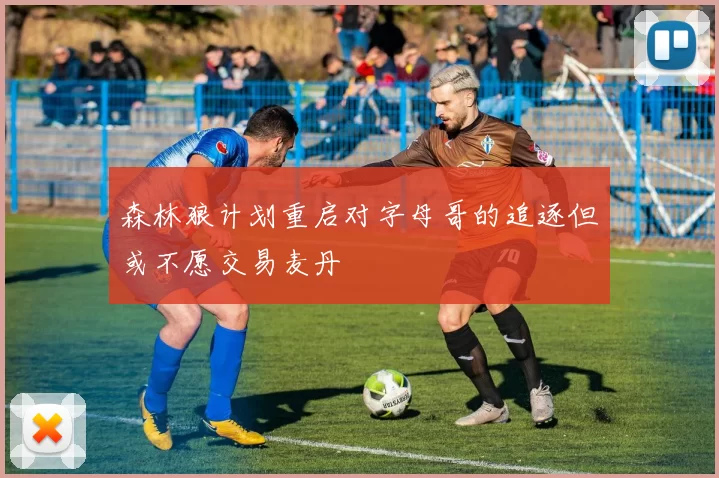 森林狼计划重启对字母哥的追逐但或不愿交易麦丹